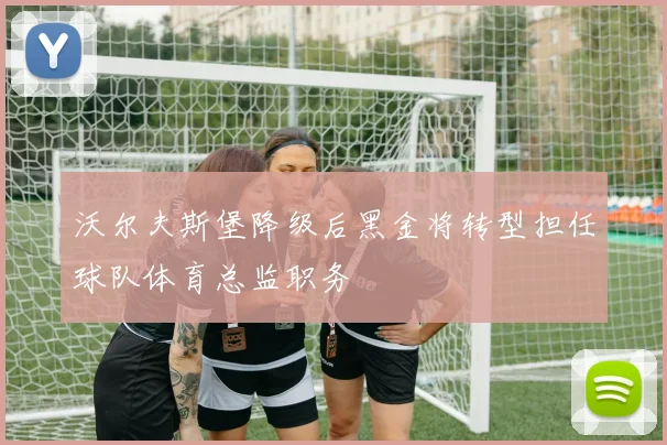 沃尔夫斯堡降级后黑金将转型担任球队体育总监职务