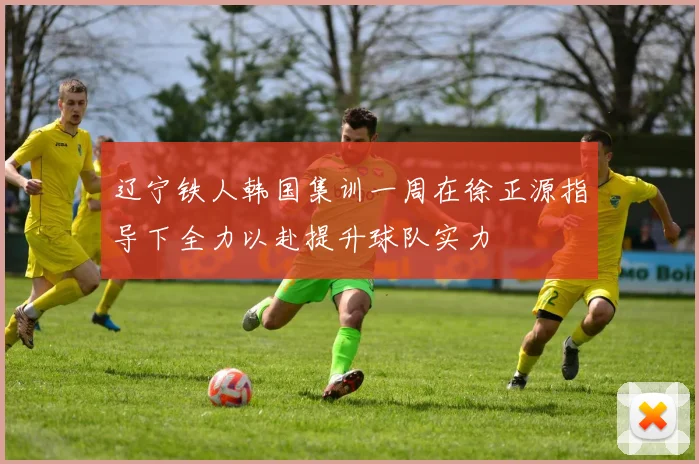 辽宁铁人韩国集训一周在徐正源指导下全力以赴提升球队实力