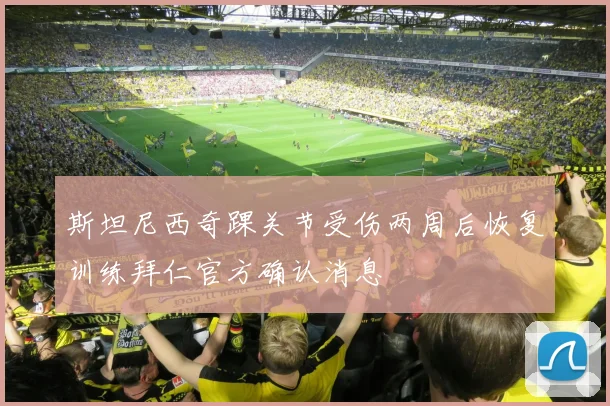 斯坦尼西奇踝关节受伤两周后恢复训练拜仁官方确认消息
