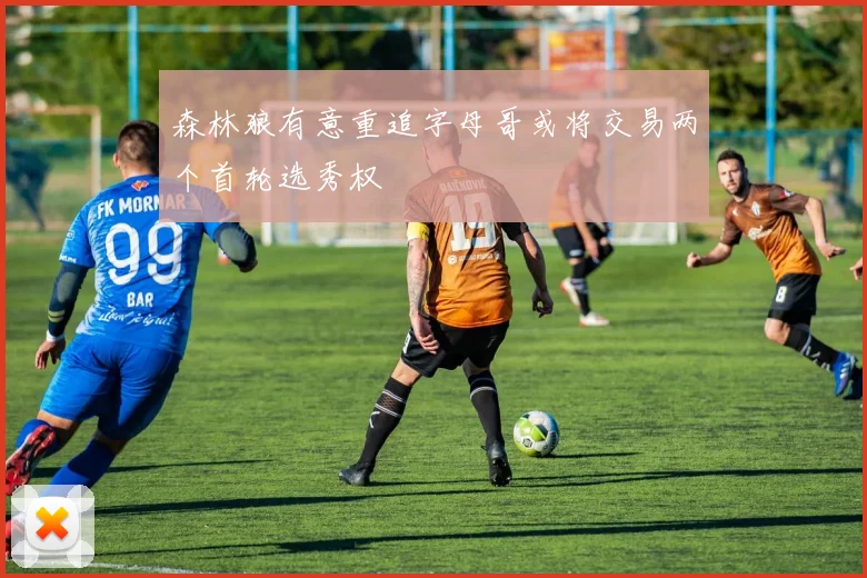 森林狼有意重追字母哥或将交易两个首轮选秀权